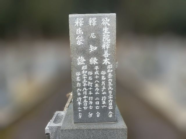 大垣市青野霊園　お墓リフォーム　①お墓クリーニング・白入れ直し